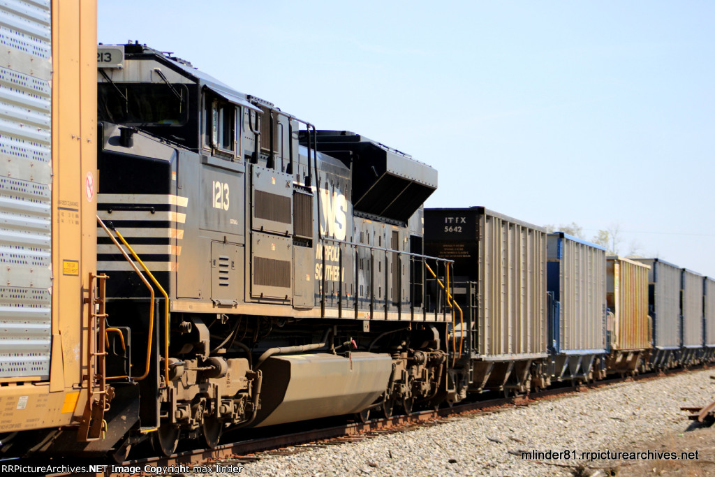 NS 1213